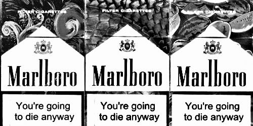 theodoraedgdr's profile banner image