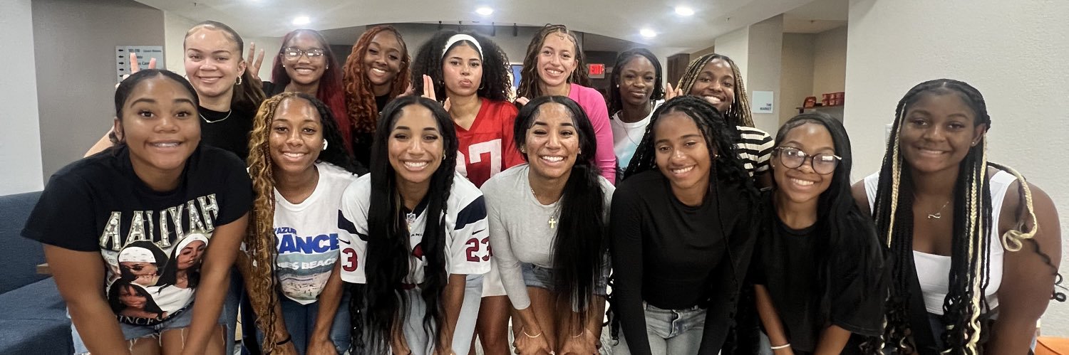 Summit  Volleyball banner