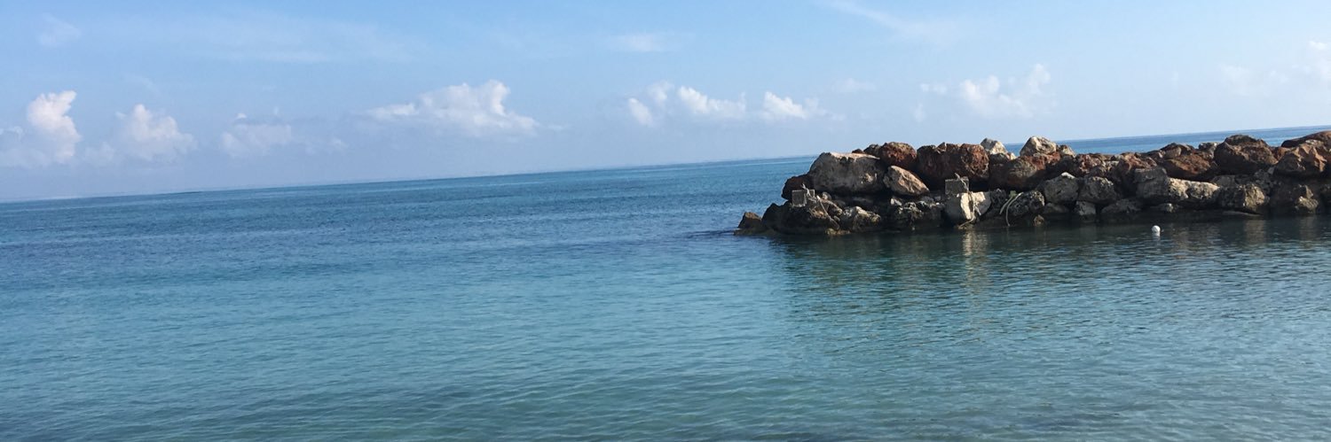 FillmoreAlaina's profile banner image