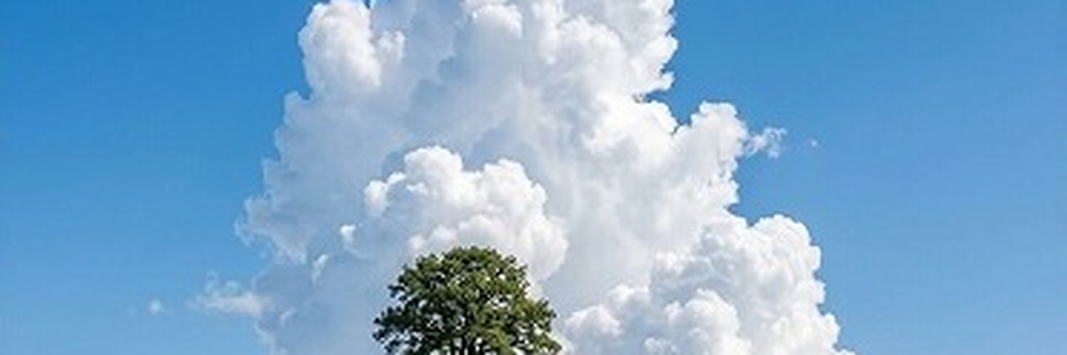 123GoGreen's profile banner image