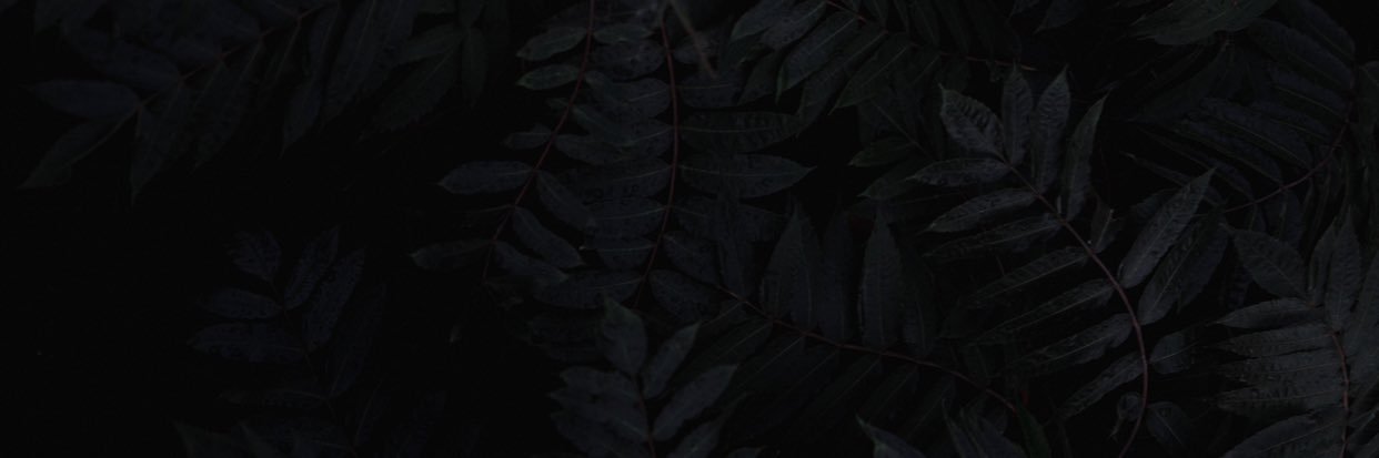 schattenhelden's profile banner image