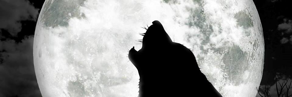 _raymond24's profile banner image