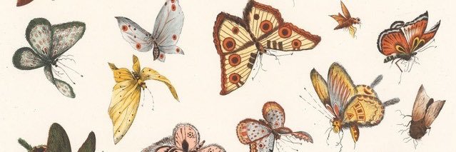 jaidrajoy's profile banner image