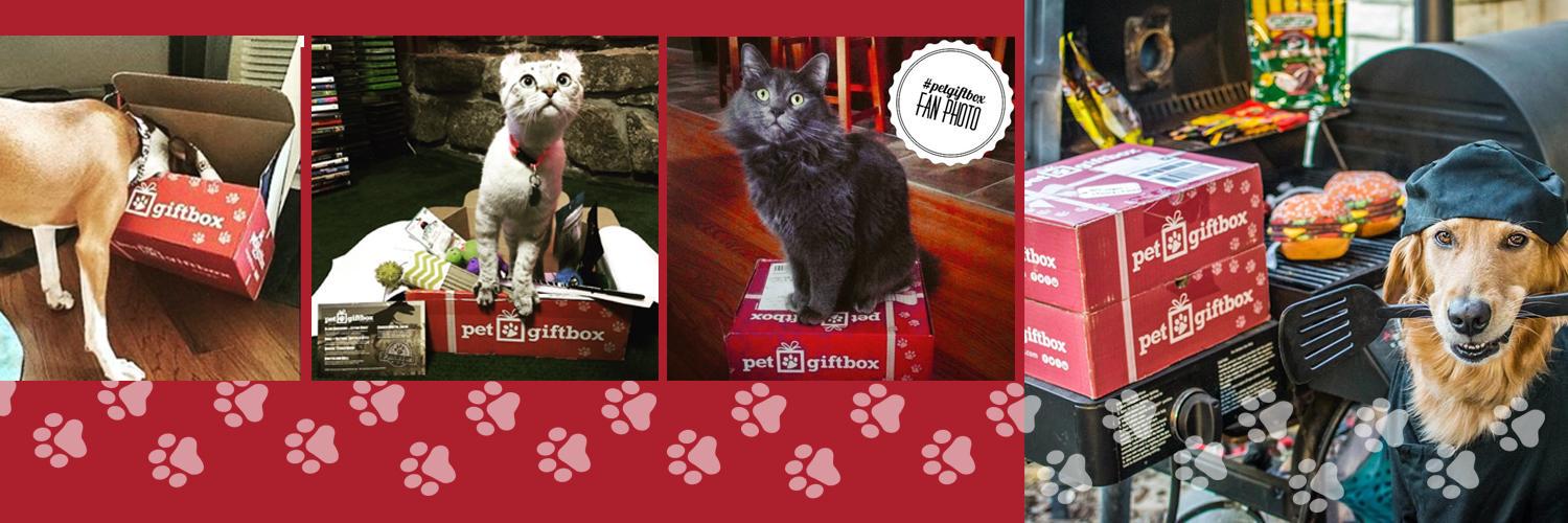 petgiftbox's profile banner image
