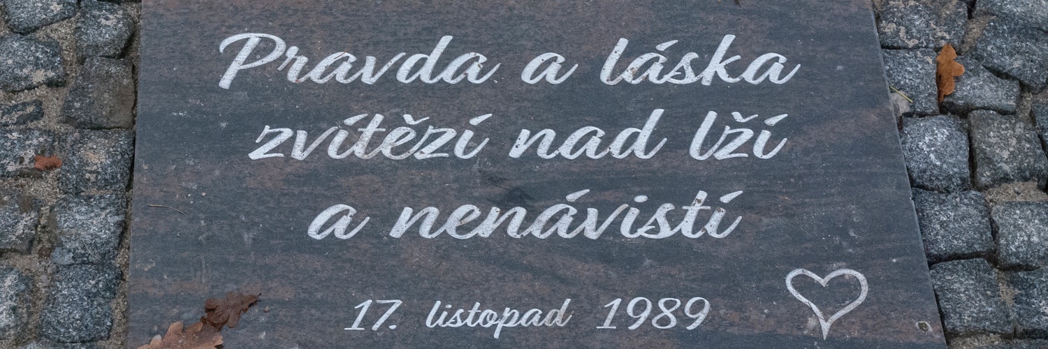 Lyn Davidson banner