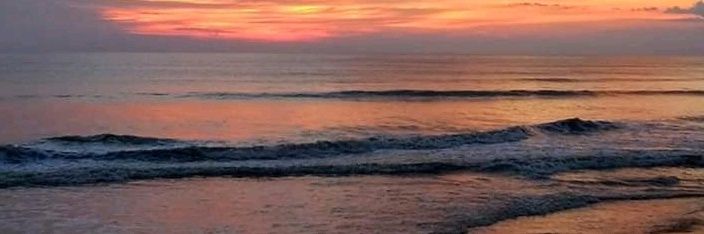 Monica Herrera banner