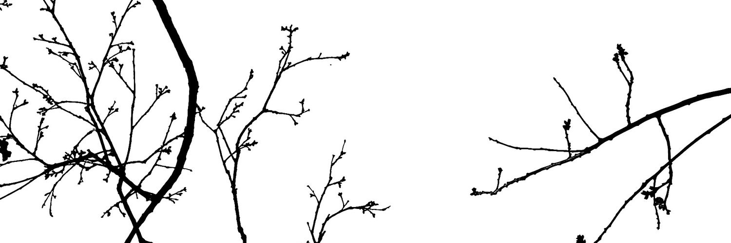 serdaryaman's profile banner image