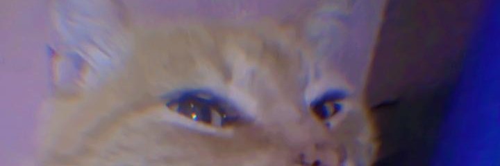 ed_naene's profile banner image