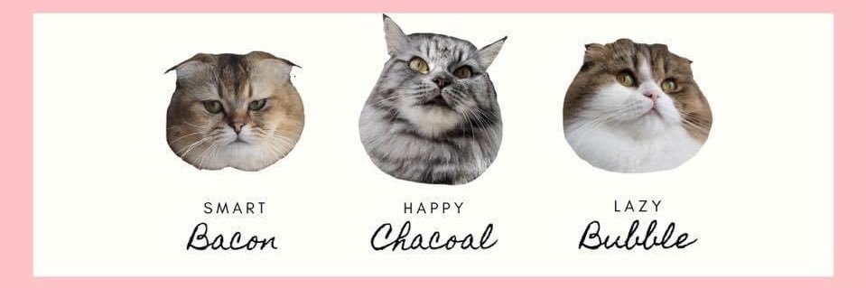 🐈‍⬛ banner