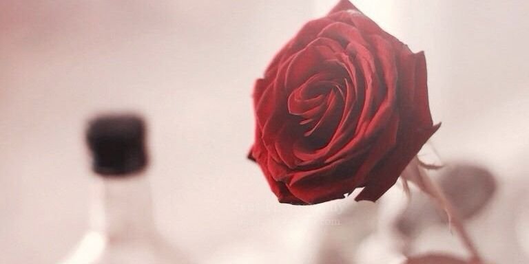 _Lie_r's profile banner image