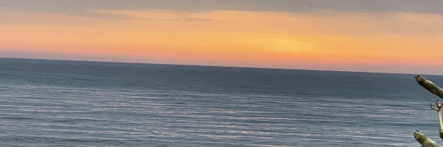 Rocío Núñez Calonge banner