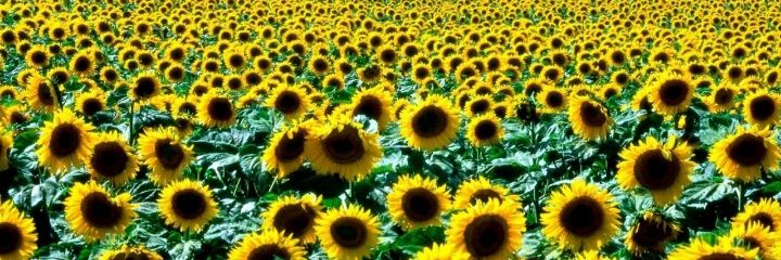 Kikis__82's profile banner image
