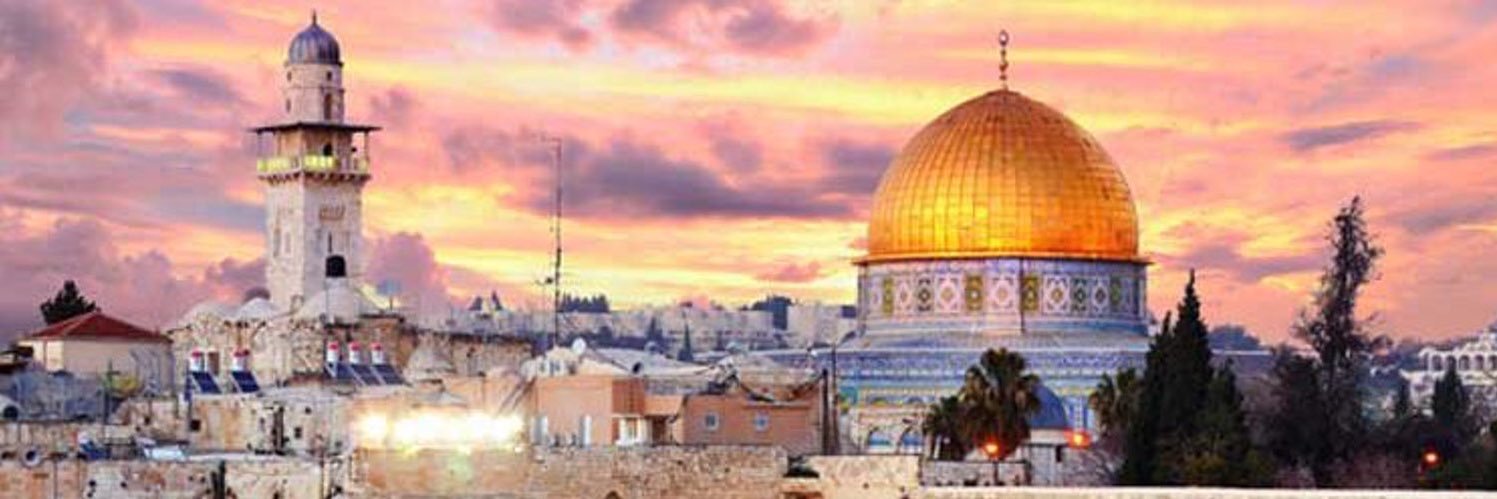 يزيد الشمري ㉟ ⑭ banner