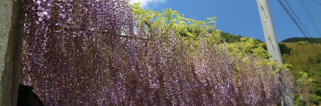 buchi_toshi's profile banner image