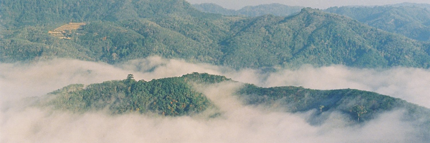 moomlnd's profile banner image
