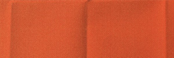 pseudonymtra Profile Banner
