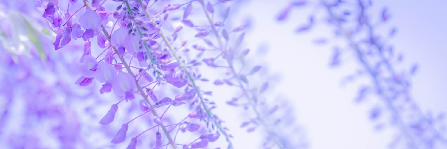 🦍オリ🦍 banner