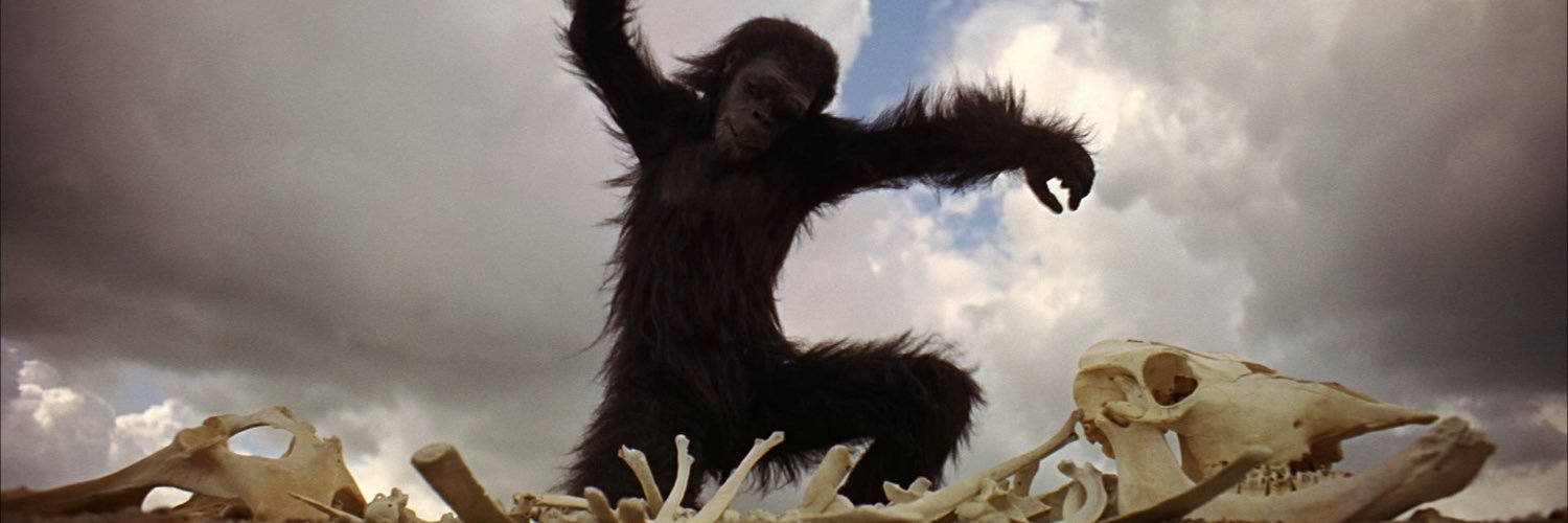 Matchcut Monkey banner