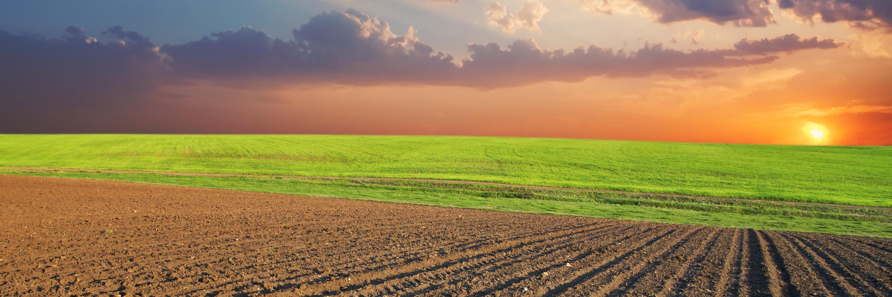 NewAgeFarmers's profile banner image