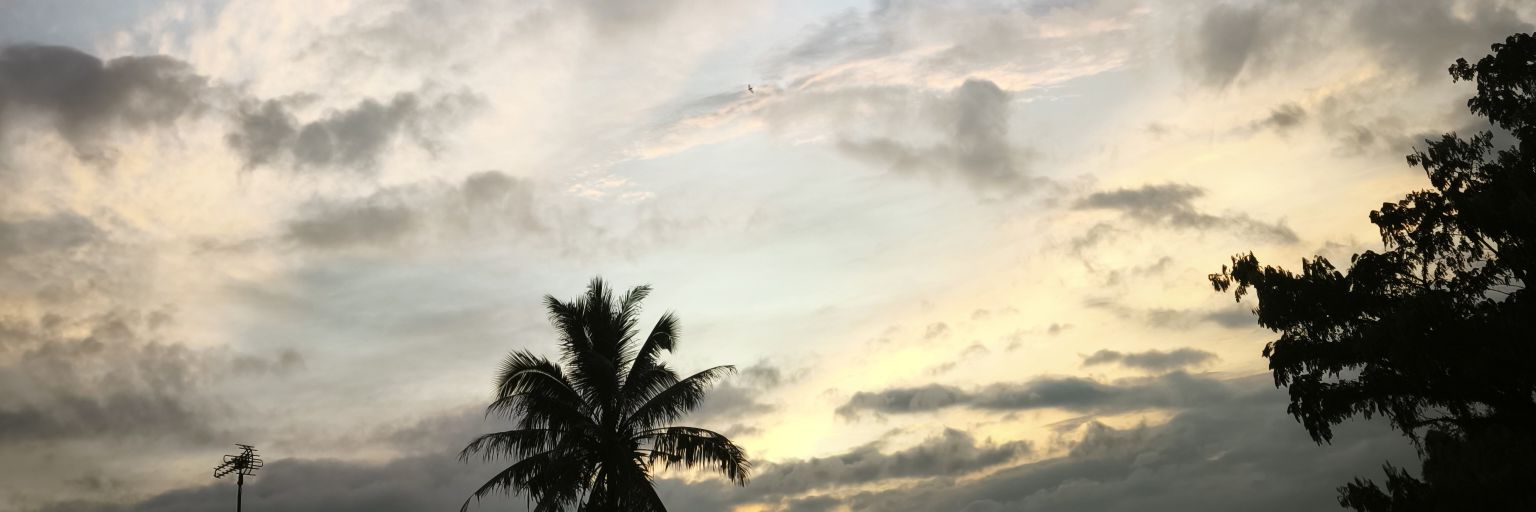 Hyppo98's profile banner image