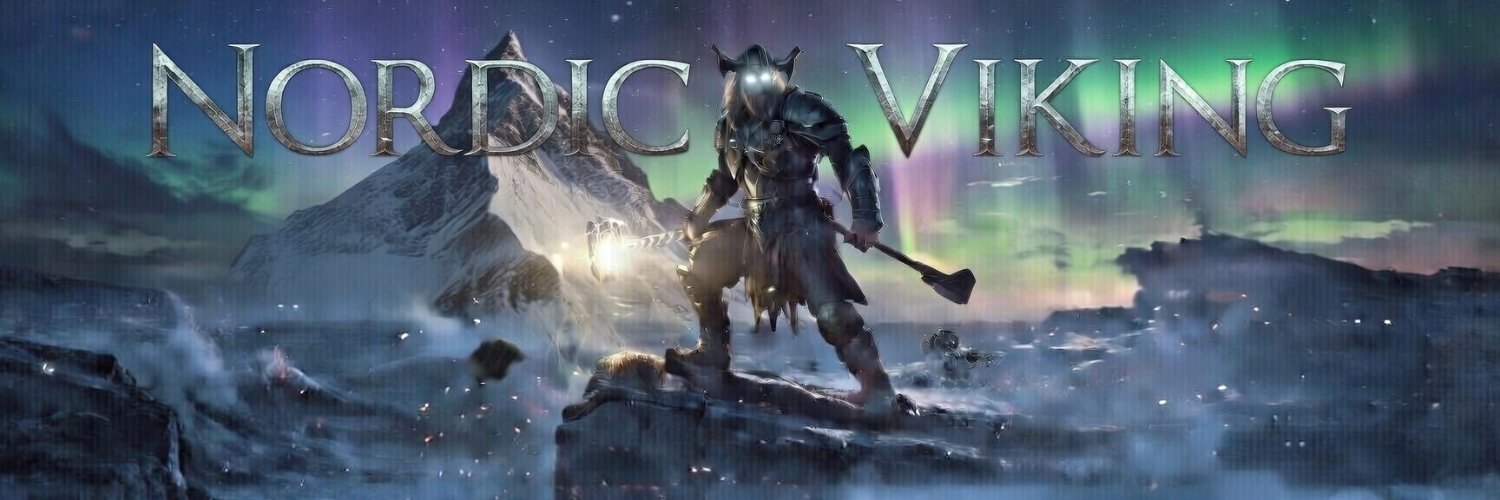 Nordic Viking 🇩🇰 banner