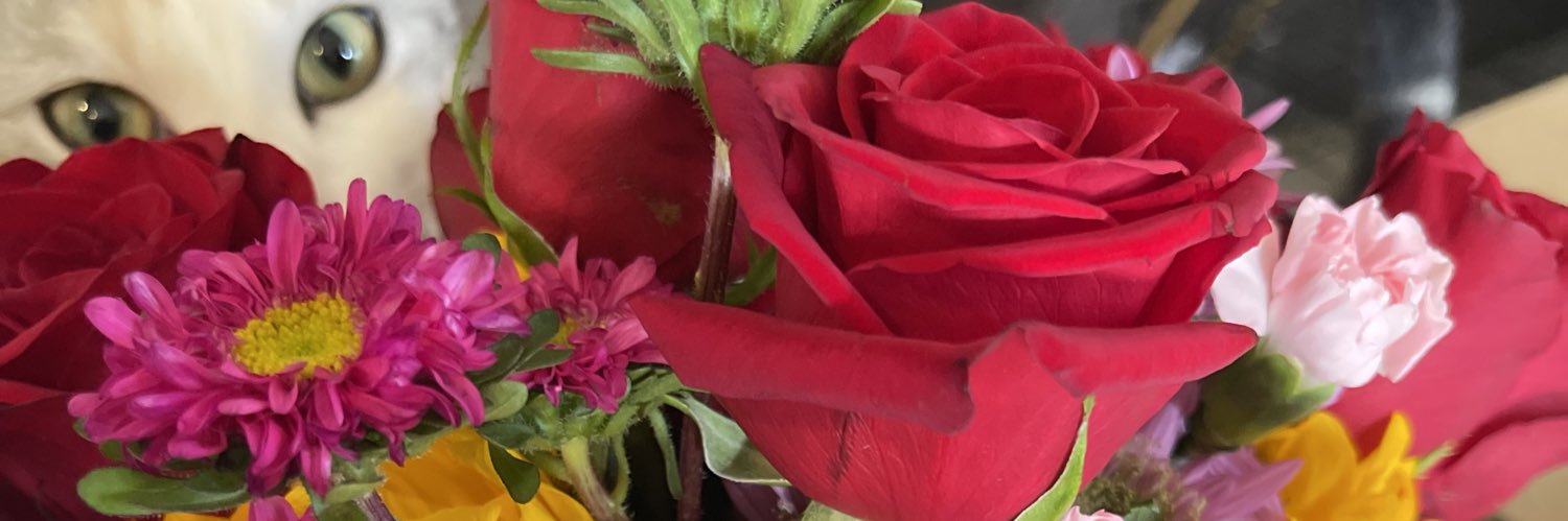 lienjje's profile banner image