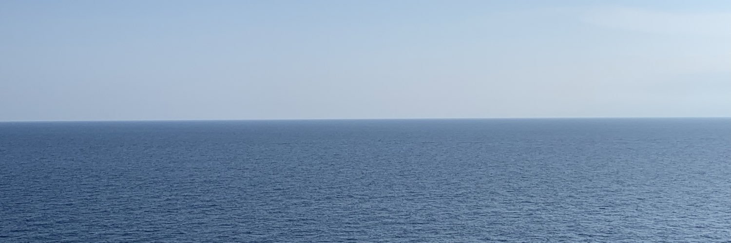 ANA CASTELLANOS banner