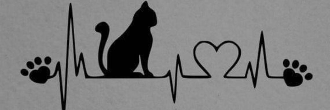 OlveraGiinger's profile banner image