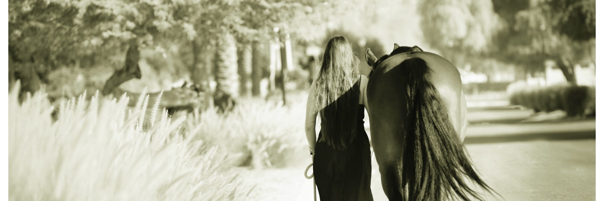 mechellebdp's profile banner image