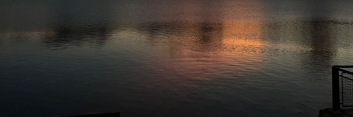 valentinamsant's profile banner image