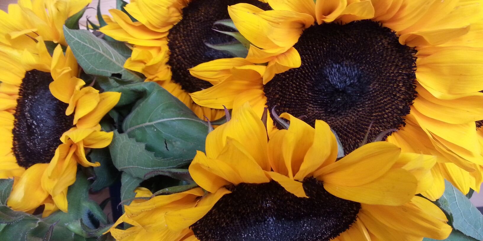 messicksmarket's profile banner image
