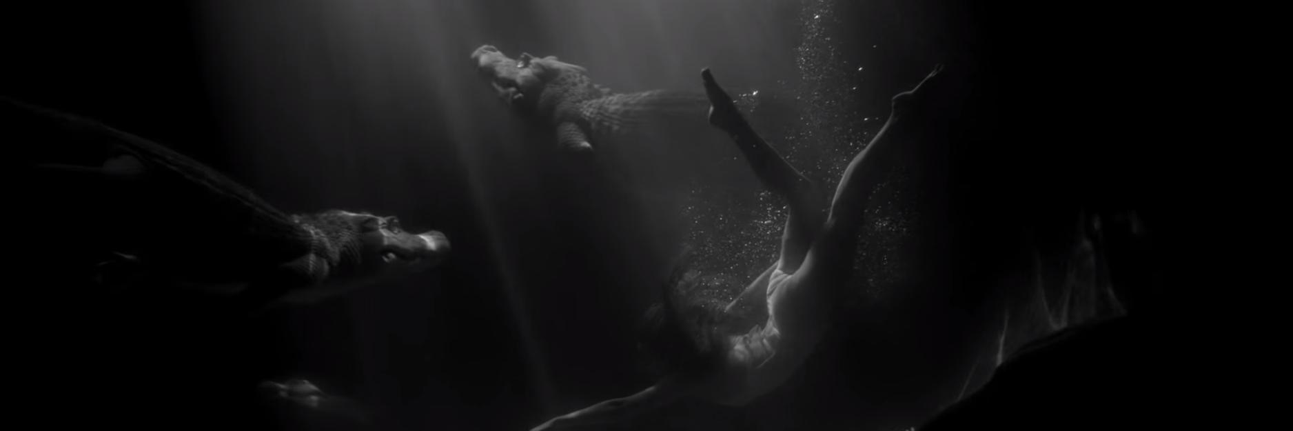 Black Snake Moan ඞ🌺 banner