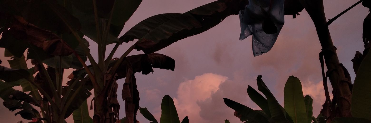 DeriotSZC's profile banner image