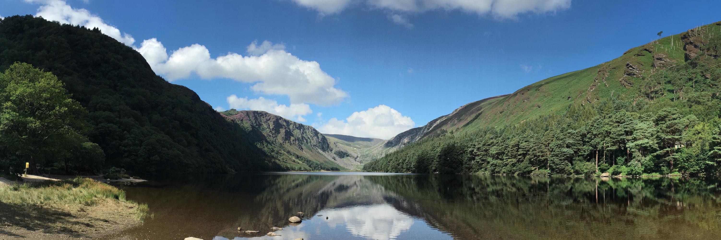 Dario Ferrari banner