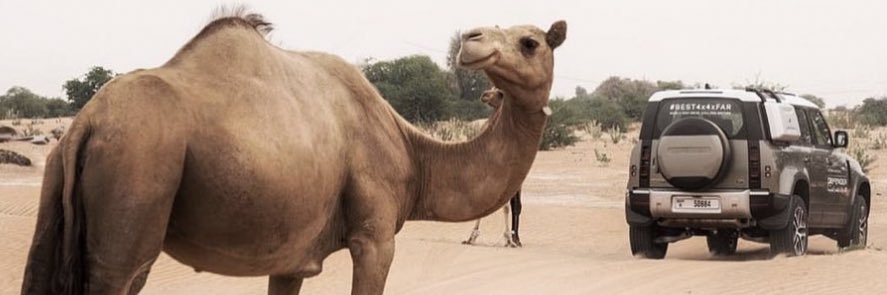 da_alz's profile banner image