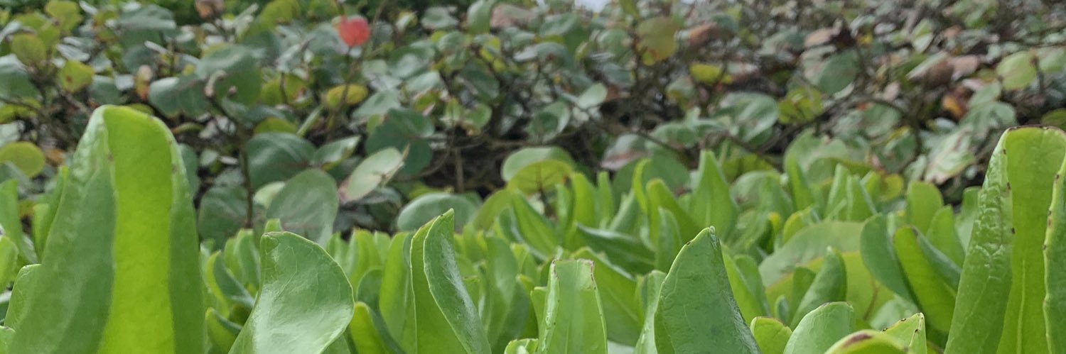 anna_moye's profile banner image