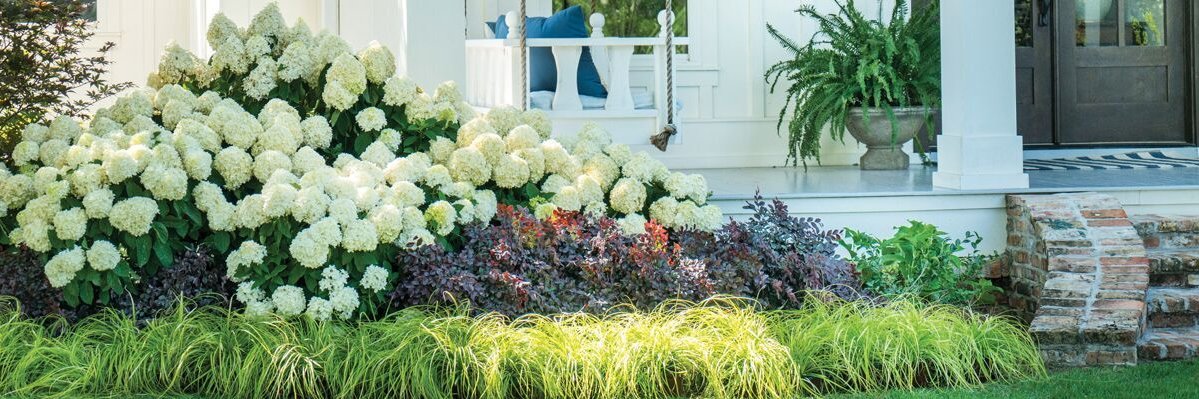 Plantsbymail's profile banner image