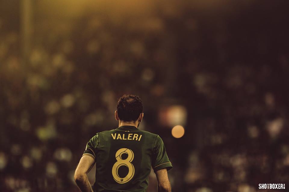 forest_walker's profile banner image