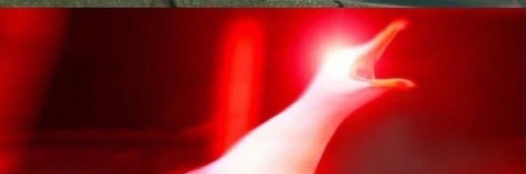 Zuspect's profile banner image