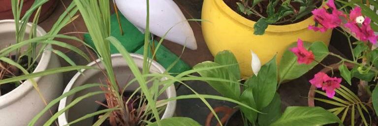 calvin_hobbies's profile banner image