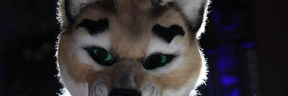 gaz_a's profile banner image