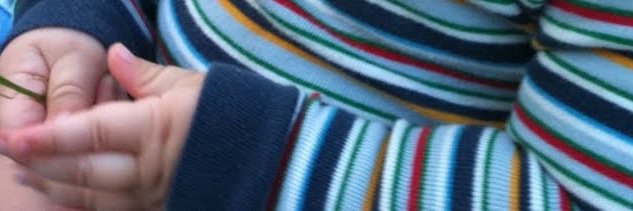 Annelyse Miller banner