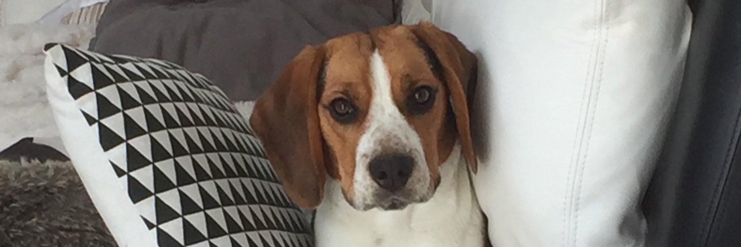 62Edleroy's profile banner image