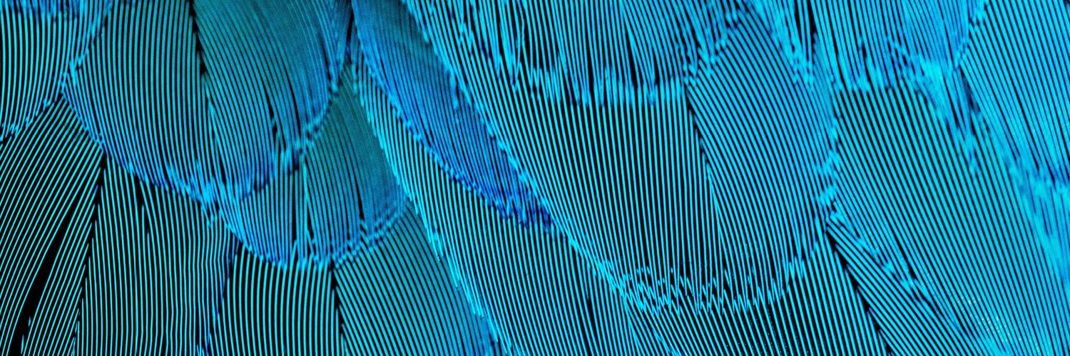 EllenaCullum's profile banner image