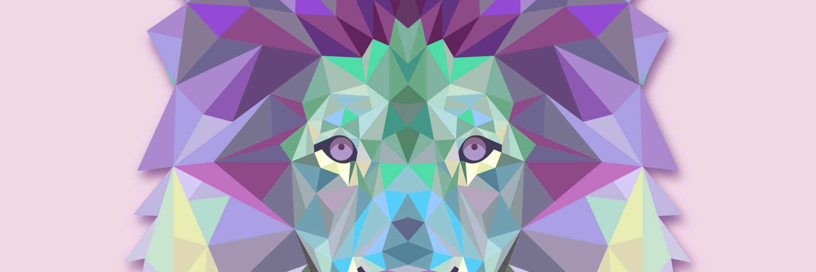 Pedrito_CT's profile banner image
