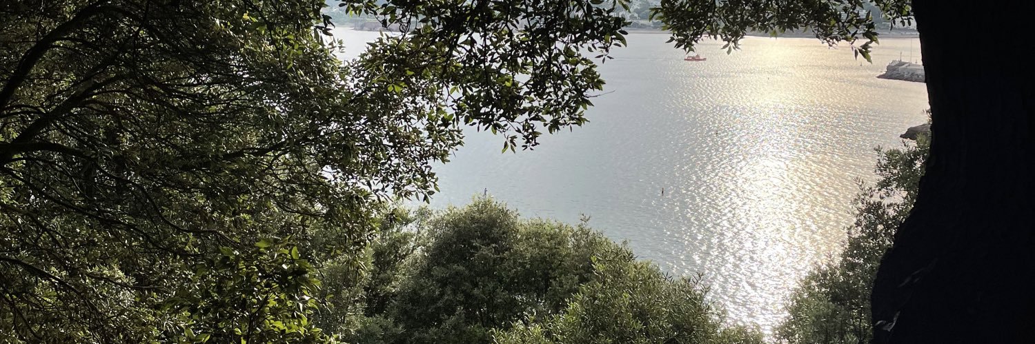 HelenHFielding's profile banner image