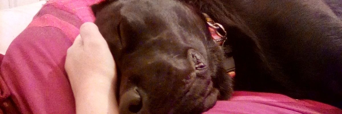 jennyduncalf2's profile banner image