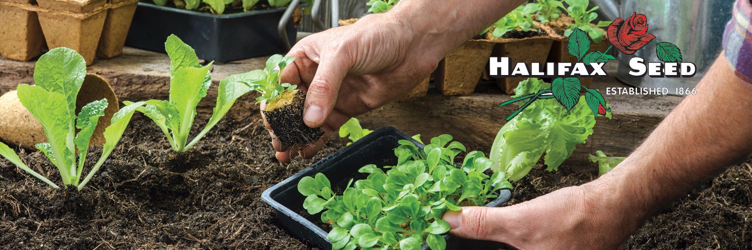 Halifaxseed's profile banner image