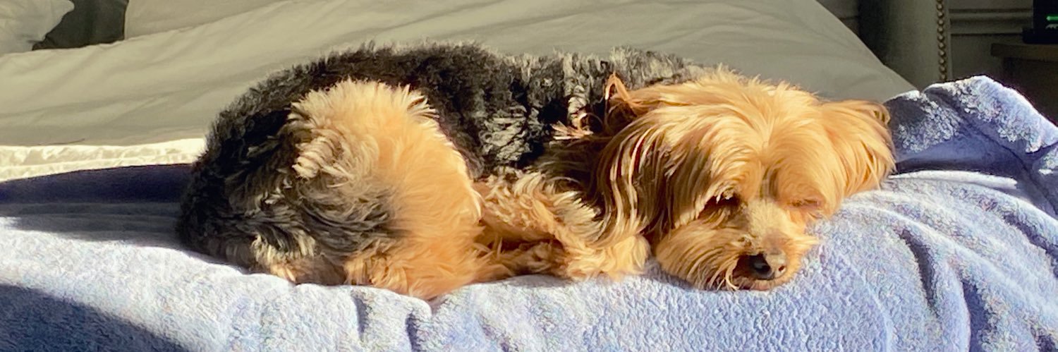 Michael Tenenbaum banner