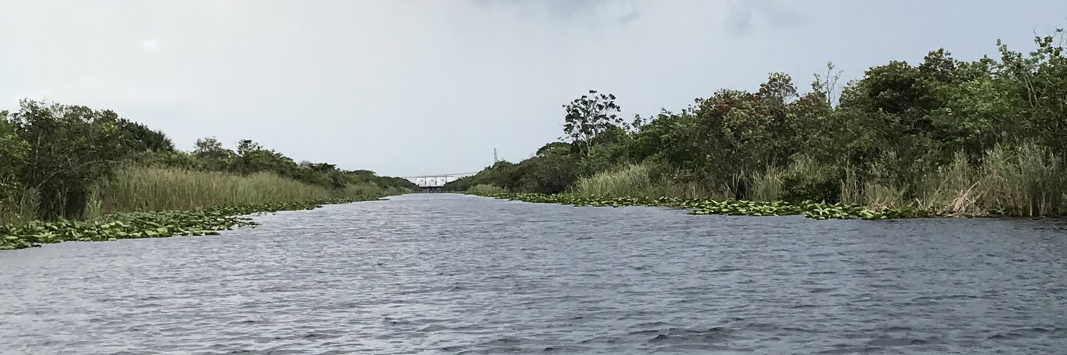 Waste Management Consultant banner